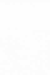 Banner van Pronkert